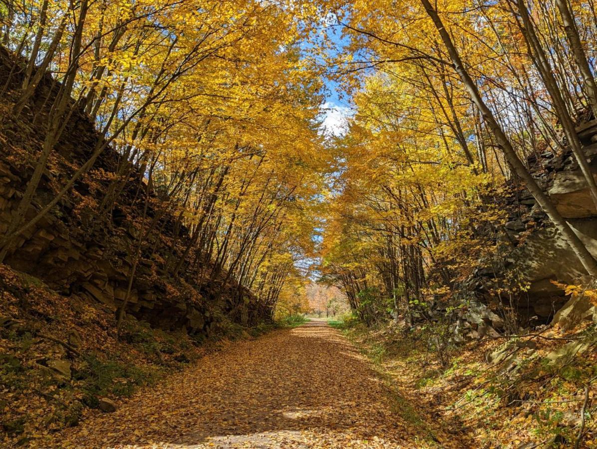 Stay In Ohiopyle In The Middle Of Town By The Gap Trail Extérieur photo